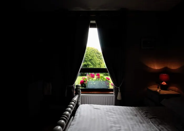 Abbey View Bed & Breakfast Galway